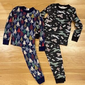 Hanna Andersson Organic Pajamas Set -
